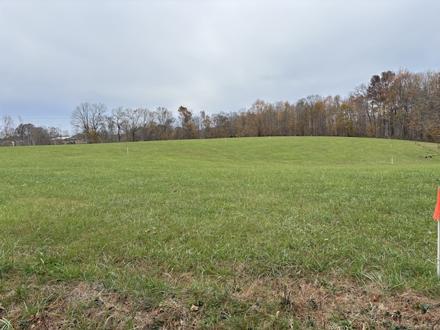 10 Hanestown, Lafayette TN, 37083 land for sale