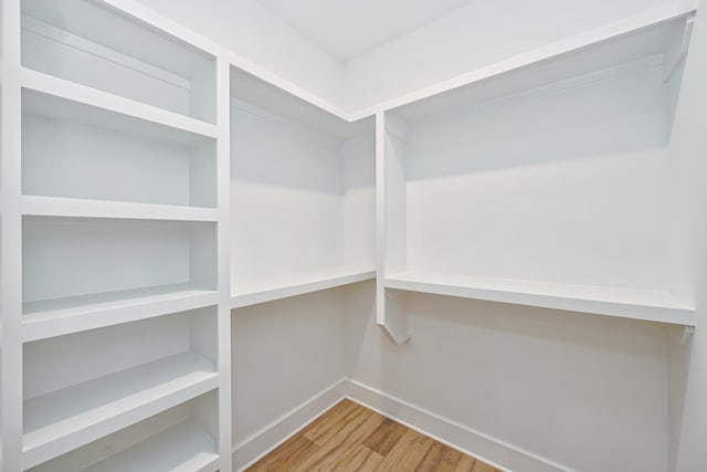 walk in closet with hardwood / wood-style flooring