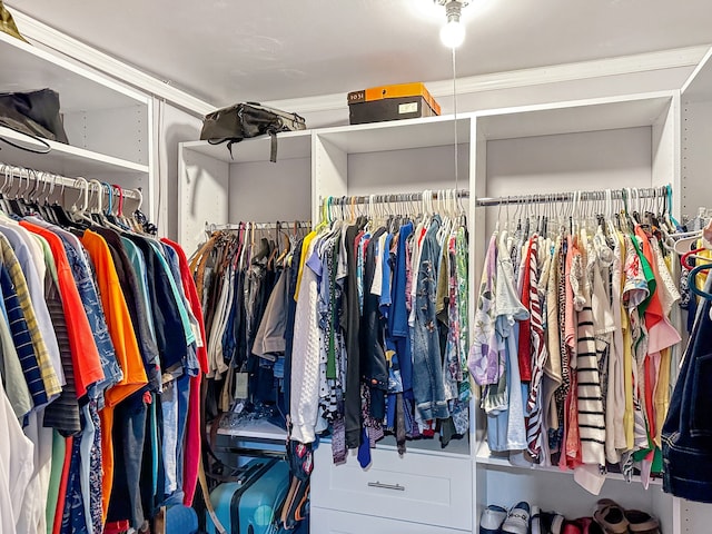 view of spacious closet