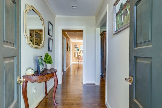 corridor with dark hardwood / wood-style floors and ornamental molding