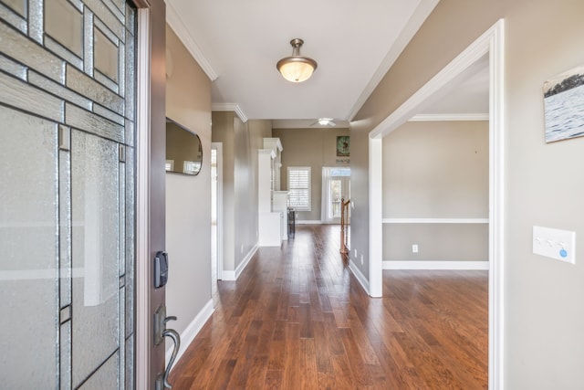 entryway with crown molding and dark wood-type flooring