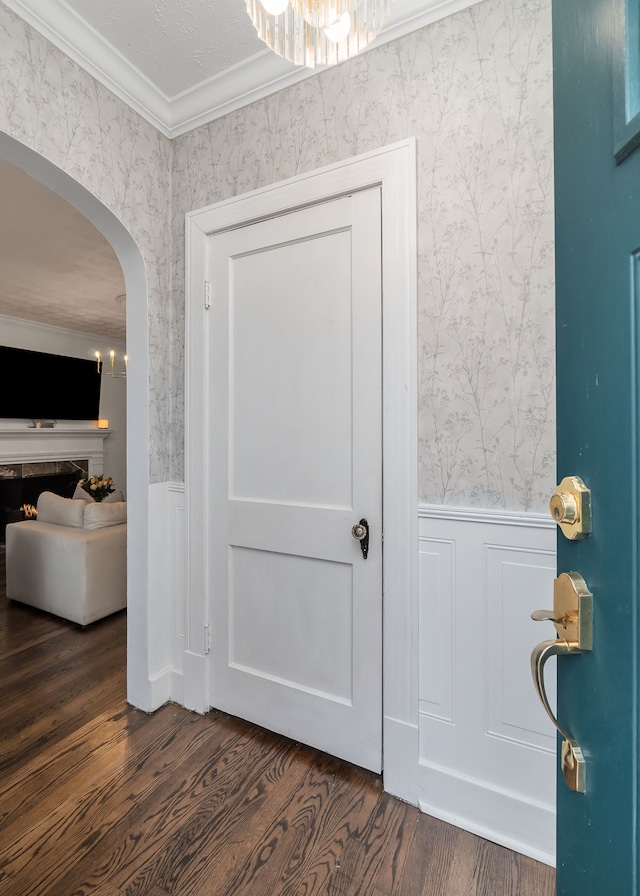 interior space featuring crown molding and dark wood-type flooring