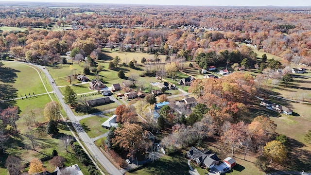 bird's eye view