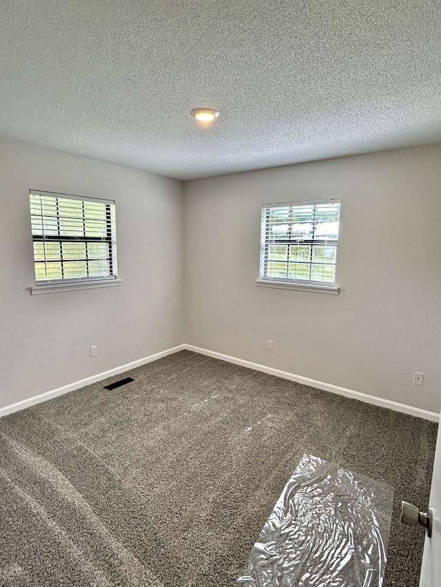 carpeted empty room with a textured ceiling and a wealth of natural light