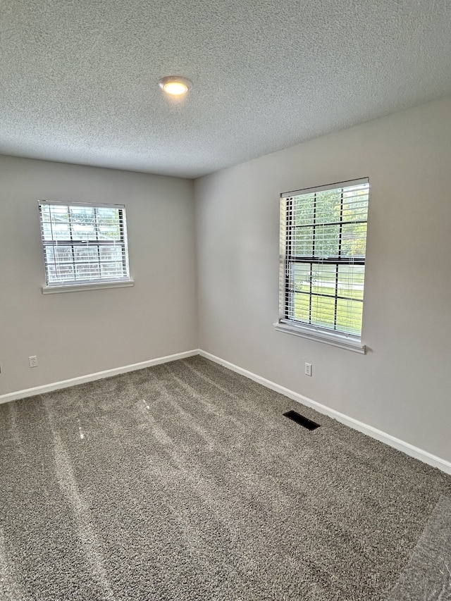 spare room featuring carpet flooring and a textured ceiling