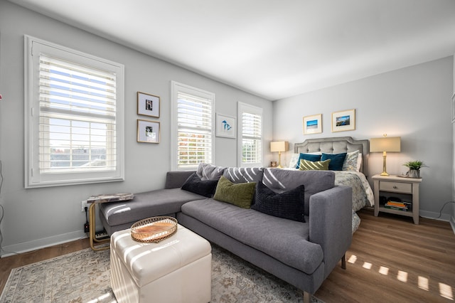 bedroom with hardwood / wood-style flooring