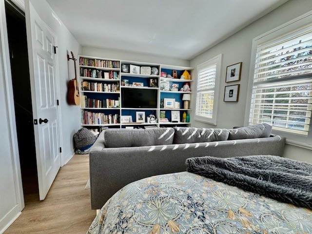 living room with light hardwood / wood-style floors