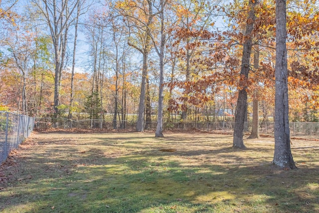 353 Oak Hollow Rd, Manchester, TN 37355 - view of yard