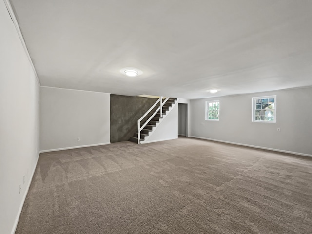 basement featuring carpet flooring