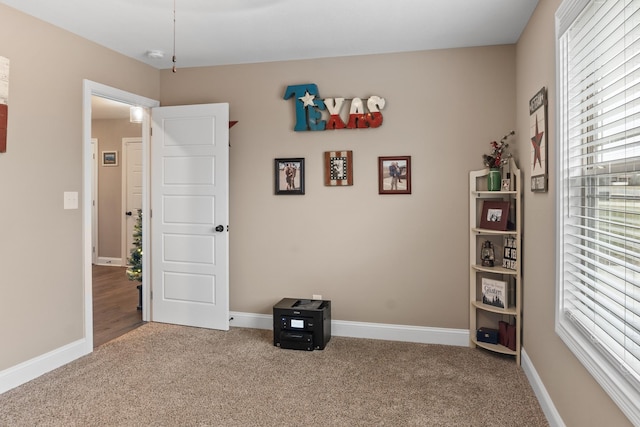 interior space featuring carpet floors