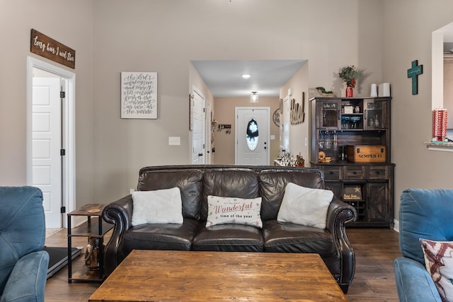 living room with dark hardwood / wood-style flooring