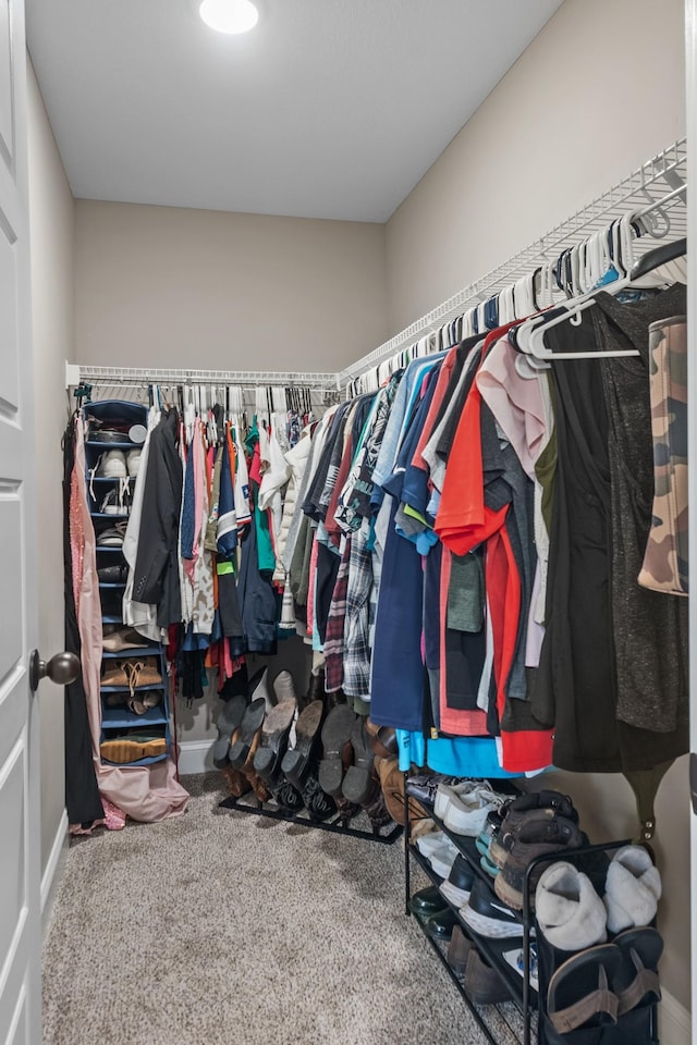 walk in closet with carpet floors