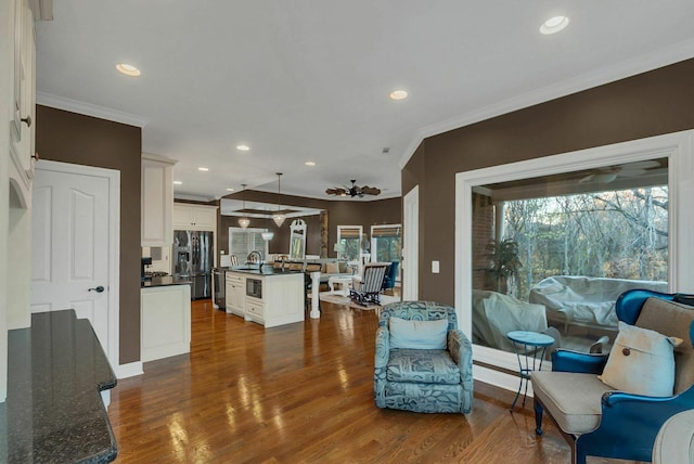 living room with ornamental molding, a wealth of natural light, dark wood-type flooring, and sink