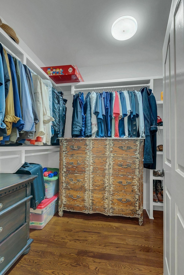 spacious closet with dark hardwood / wood-style floors