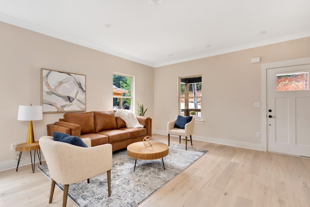 living room with crown molding and light wood-type flooring