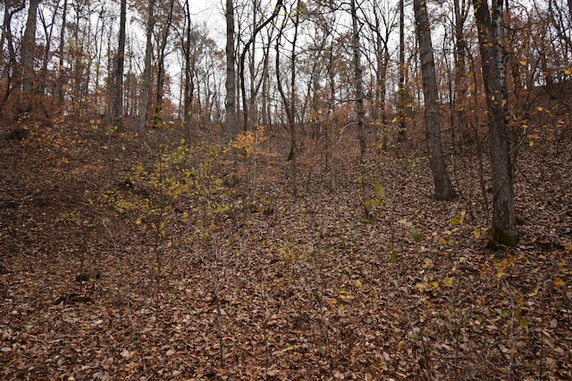 0 Depriest Bend Rd, Lobelville, TN 37097 - photo 7
