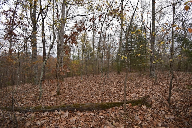 0 Depriest Bend Rd, Lobelville, TN 37097 - photo 4