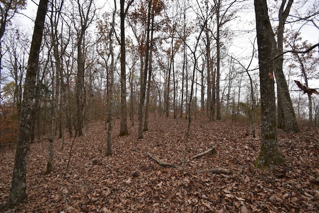 Listing photo 3 for 0 Depriest Bend Rd, Lobelville TN 37097