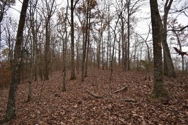 0 Depriest Bend Rd, Lobelville, TN 37097 - photo 3