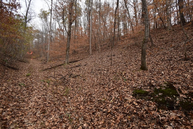 0 Depriest Bend Rd, Lobelville, TN 37097 - photo 8