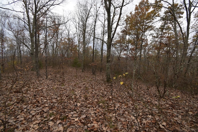 0 Depriest Bend Rd, Lobelville TN, 37097 land for sale