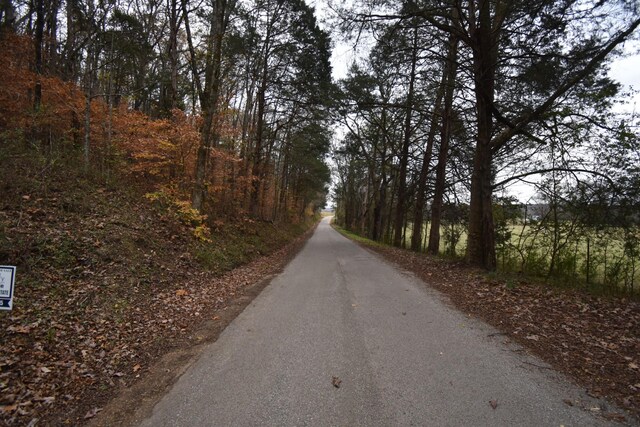 0 Depriest Bend Rd, Lobelville, TN 37097 - photo 10