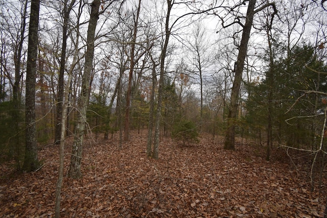 Listing photo 2 for 0 Depriest Bend Rd, Lobelville TN 37097