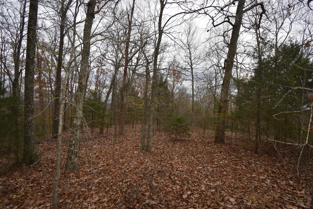 0 Depriest Bend Rd, Lobelville, TN 37097 - photo 2
