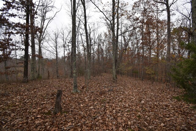 0 Depriest Bend Rd, Lobelville, TN 37097 - photo 5
