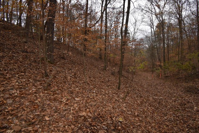 0 Depriest Bend Rd, Lobelville, TN 37097 - photo 9