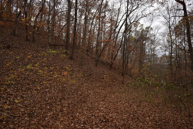 0 Depriest Bend Rd, Lobelville, TN 37097 - photo 6