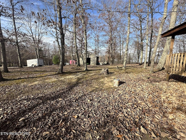 view of yard featuring a shed