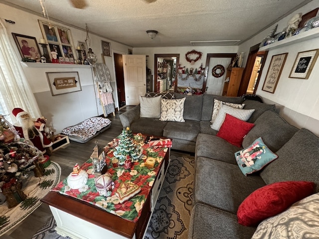 living room featuring hardwood / wood-style floors, ceiling fan, and a textured ceiling