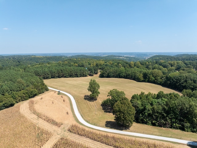 bird's eye view featuring a rural view