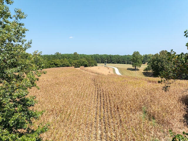 view of nature with a rural view