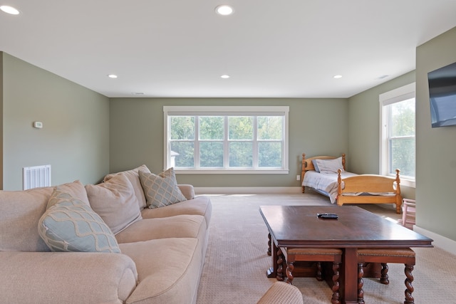 living room featuring light colored carpet