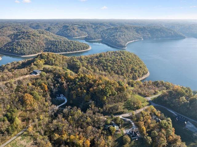 106 Harbor Pointe Ln, Silver Point, TN 38582