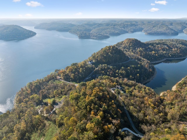 106 Harbor Pointe Ln, Silver Point, TN 38582