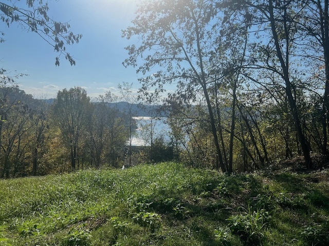 106 Harbor Pointe Ln, Silver Point, TN 38582