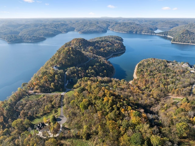 106 Harbor Pointe Ln, Silver Point, TN 38582