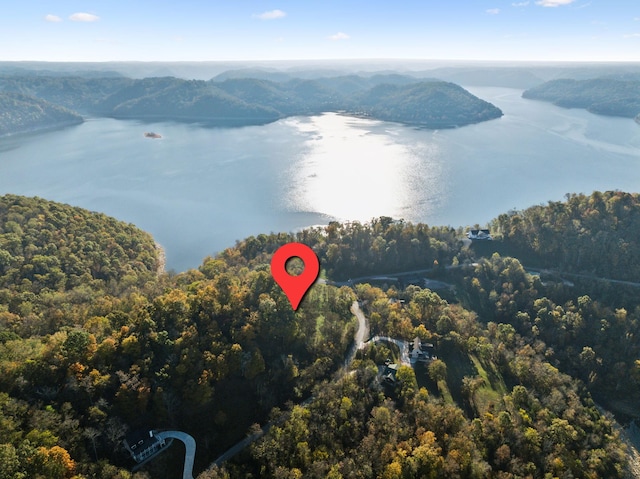 106 Harbor Pointe Ln, Silver Point, TN 38582