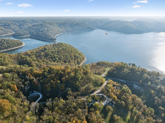 106 Harbor Pointe Ln, Silver Point, TN 38582
