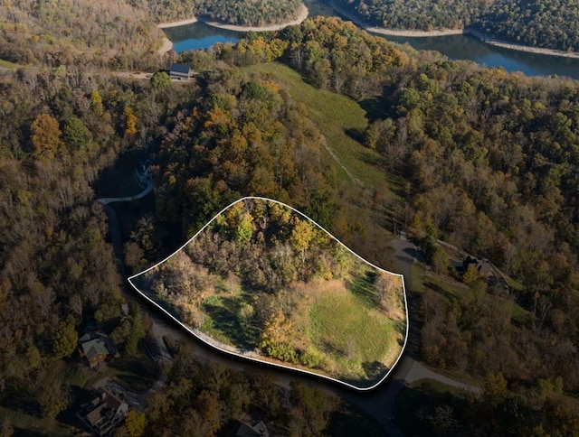 106 Harbor Pointe Ln, Silver Point, TN 38582