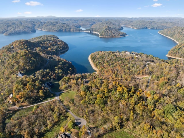 106 Harbor Pointe Ln, Silver Point, TN 38582
