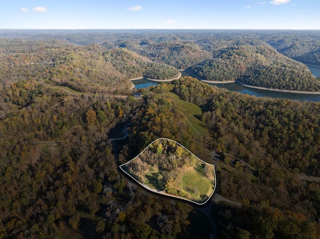 106 Harbor Pointe Ln, Silver Point, TN 38582