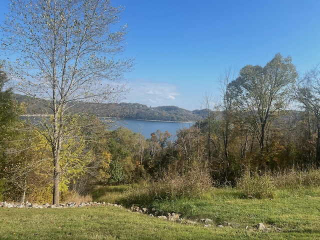 Listing photo 3 for 106 Harbor Pointe Ln, Silver Point TN 38582