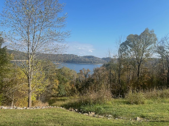 106 Harbor Pointe Ln, Silver Point, TN 38582