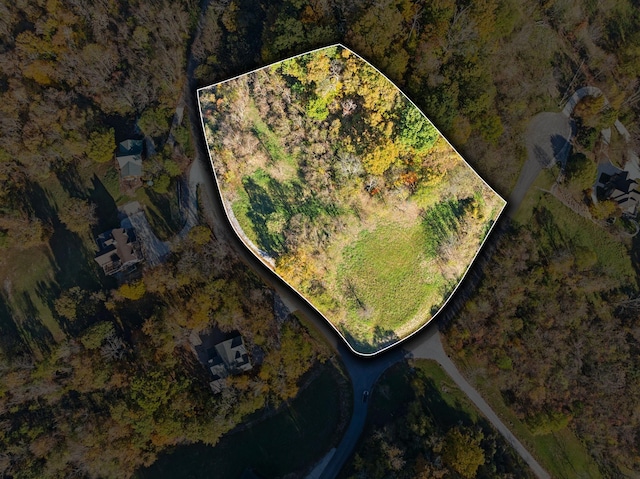 106 Harbor Pointe Ln, Silver Point, TN 38582