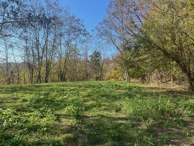 106 Harbor Pointe Ln, Silver Point, TN 38582