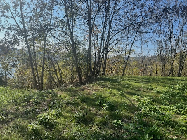 106 Harbor Pointe Ln, Silver Point, TN 38582